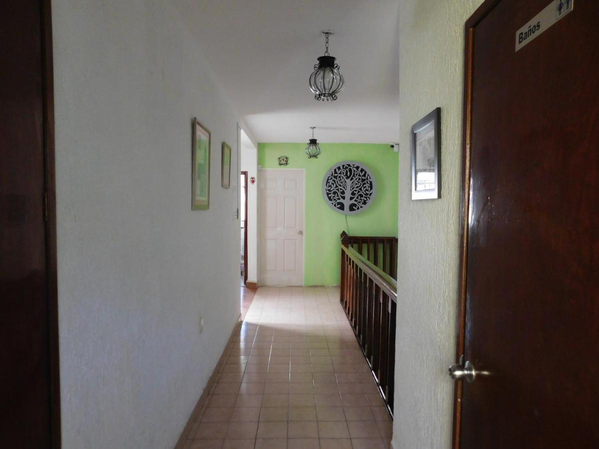 莱昂 Casona Luciernaga-Casa De Huespedes旅馆 外观 照片